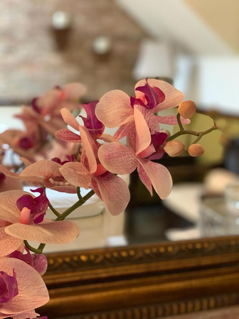 Hostal Villa Toscana グアテマラシティ エクステリア 写真