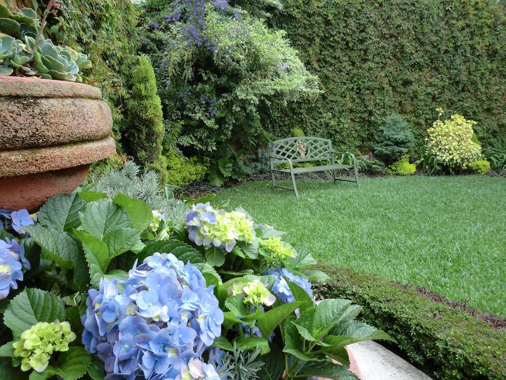 Hostal Villa Toscana グアテマラシティ エクステリア 写真