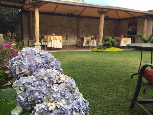 Hostal Villa Toscana グアテマラシティ エクステリア 写真